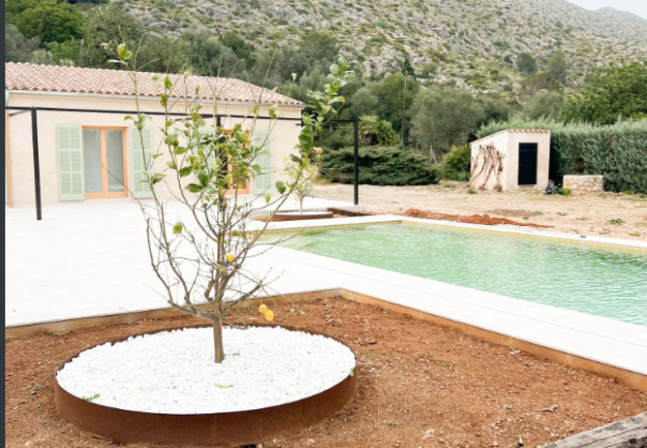 Villa in Port de Pollença - VILLA PALOMA MONTHLY RENT