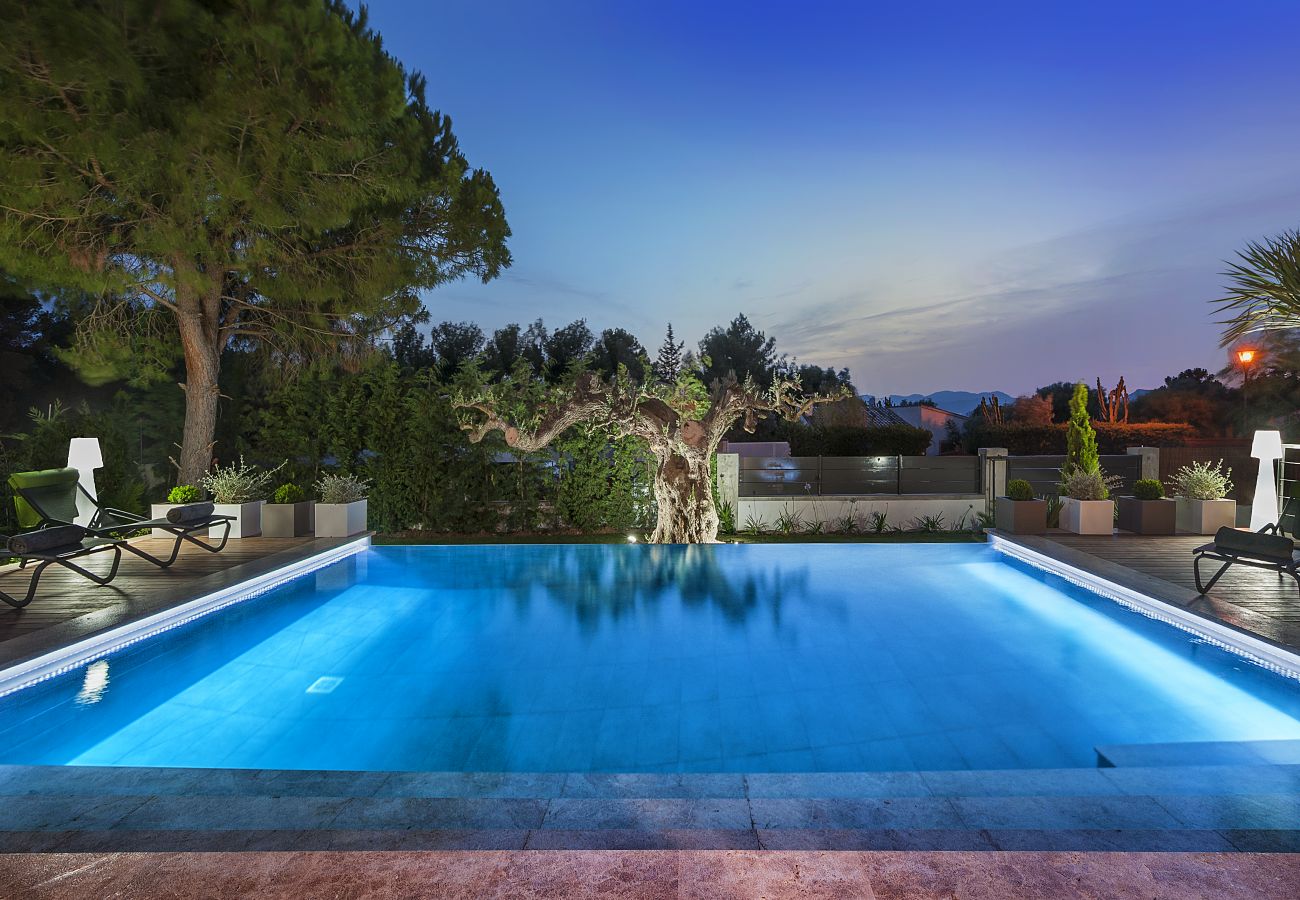 Villa in Alcudia - Villa Amer