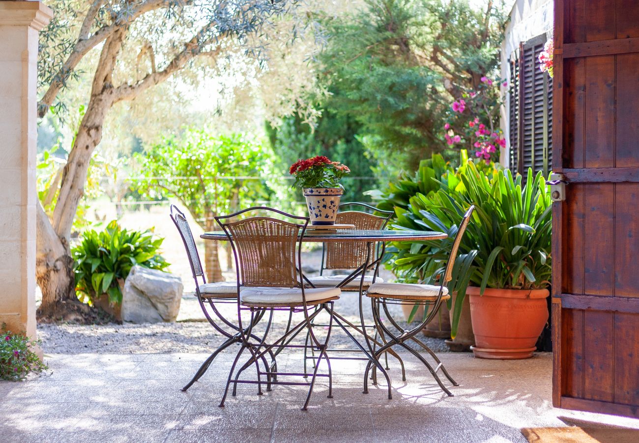 Villa in Pollensa - Finca Can Roig