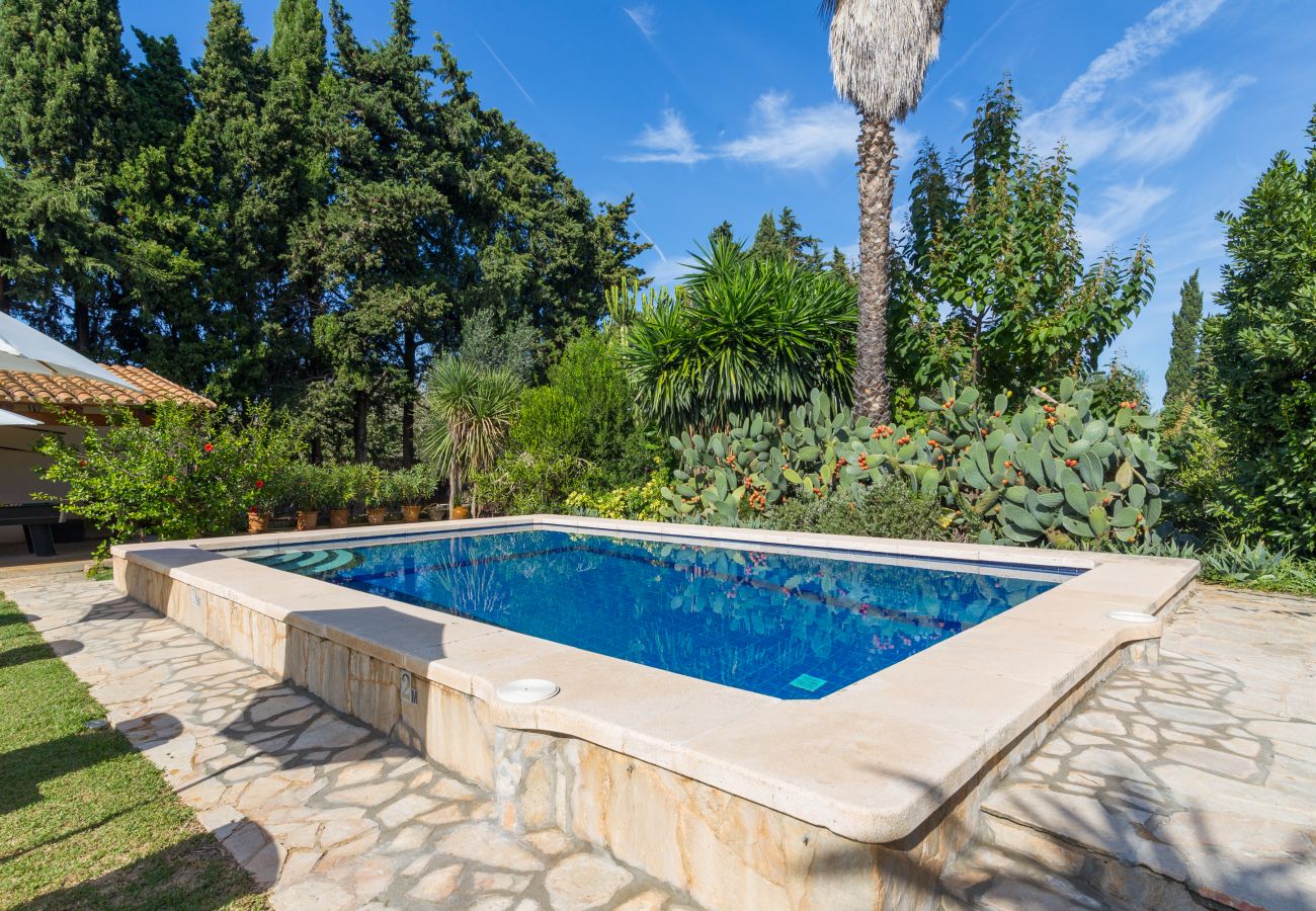 Villa in Pollensa - Villa Can Roig