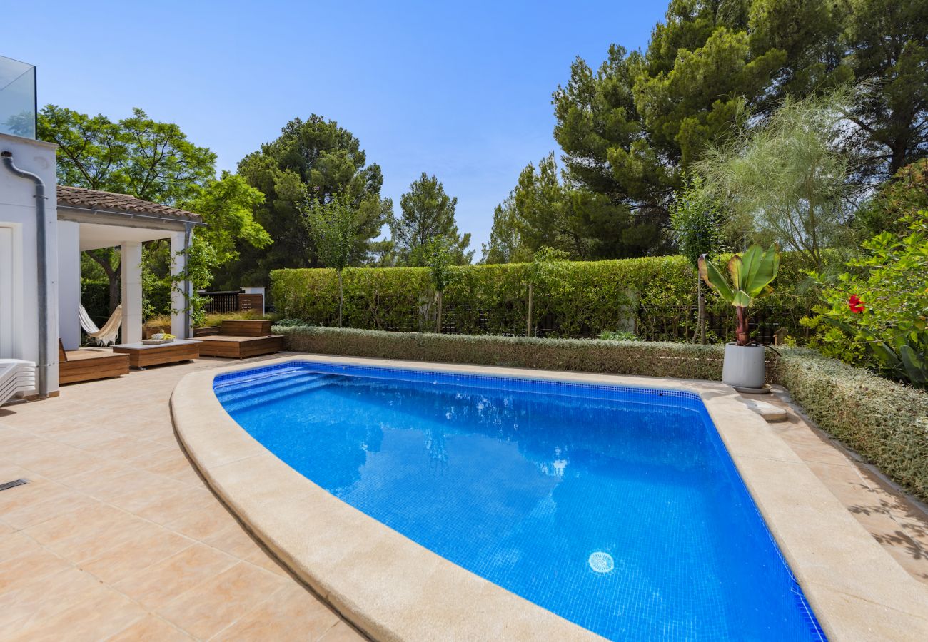 Villa in Alcudia - Villa Hernan/Solar 202