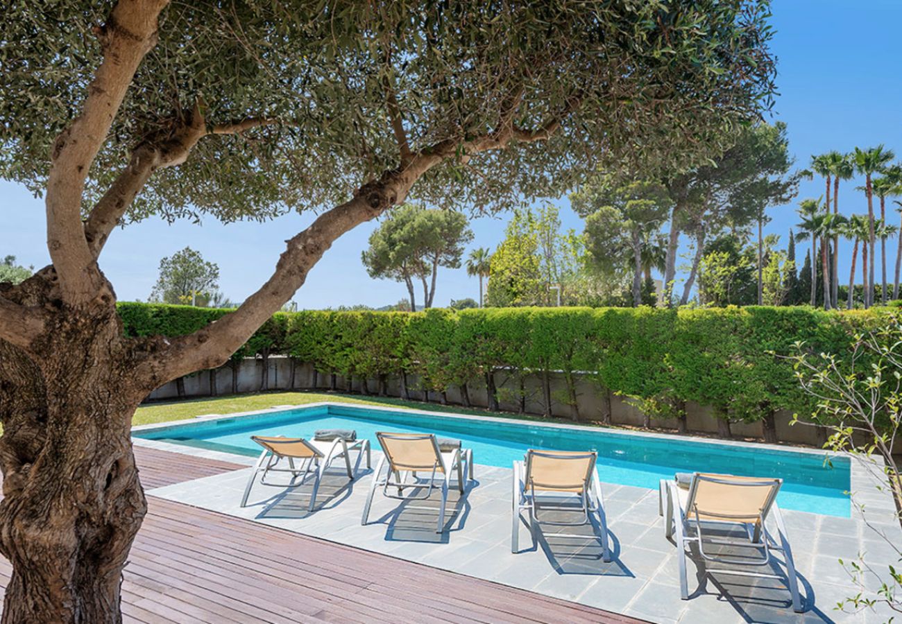 Villa in Puerto Pollensa - Villa Alfa