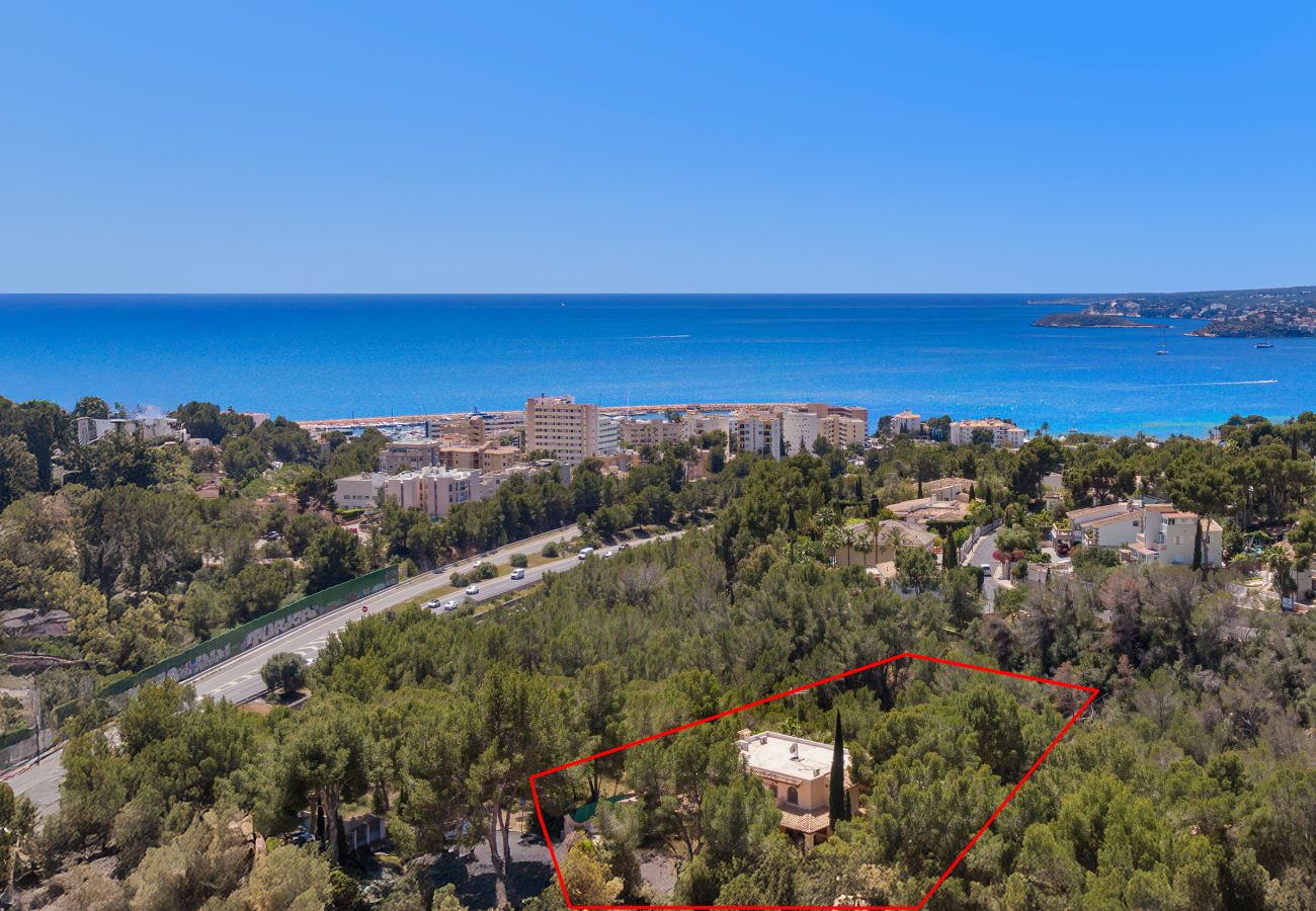 Villa in Calvià - Villa Silverbell