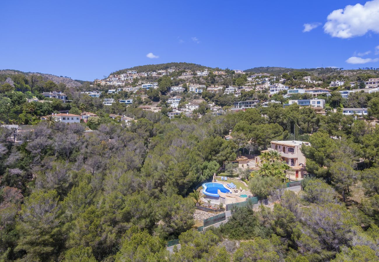 Villa in Calvià - Villa Silverbell