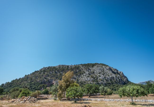 Villa in Pollensa - Villa Llenyater Villa in Pollensa - Villa Llenyater