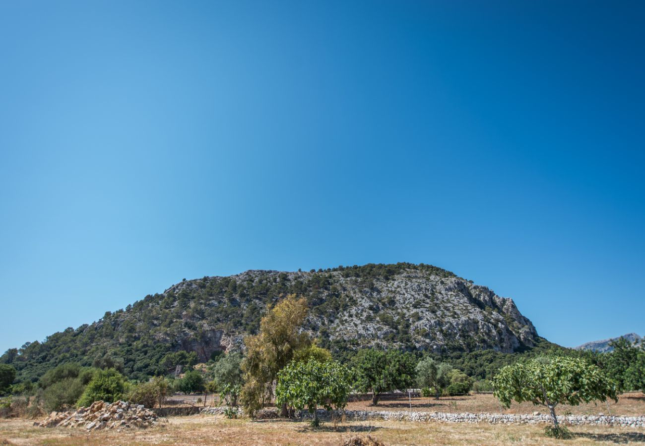 Villa in Pollensa - Villa Llenyater