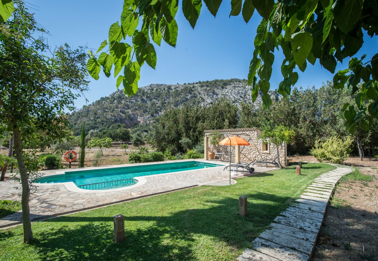 Villa in Pollensa - Villa Llenyater