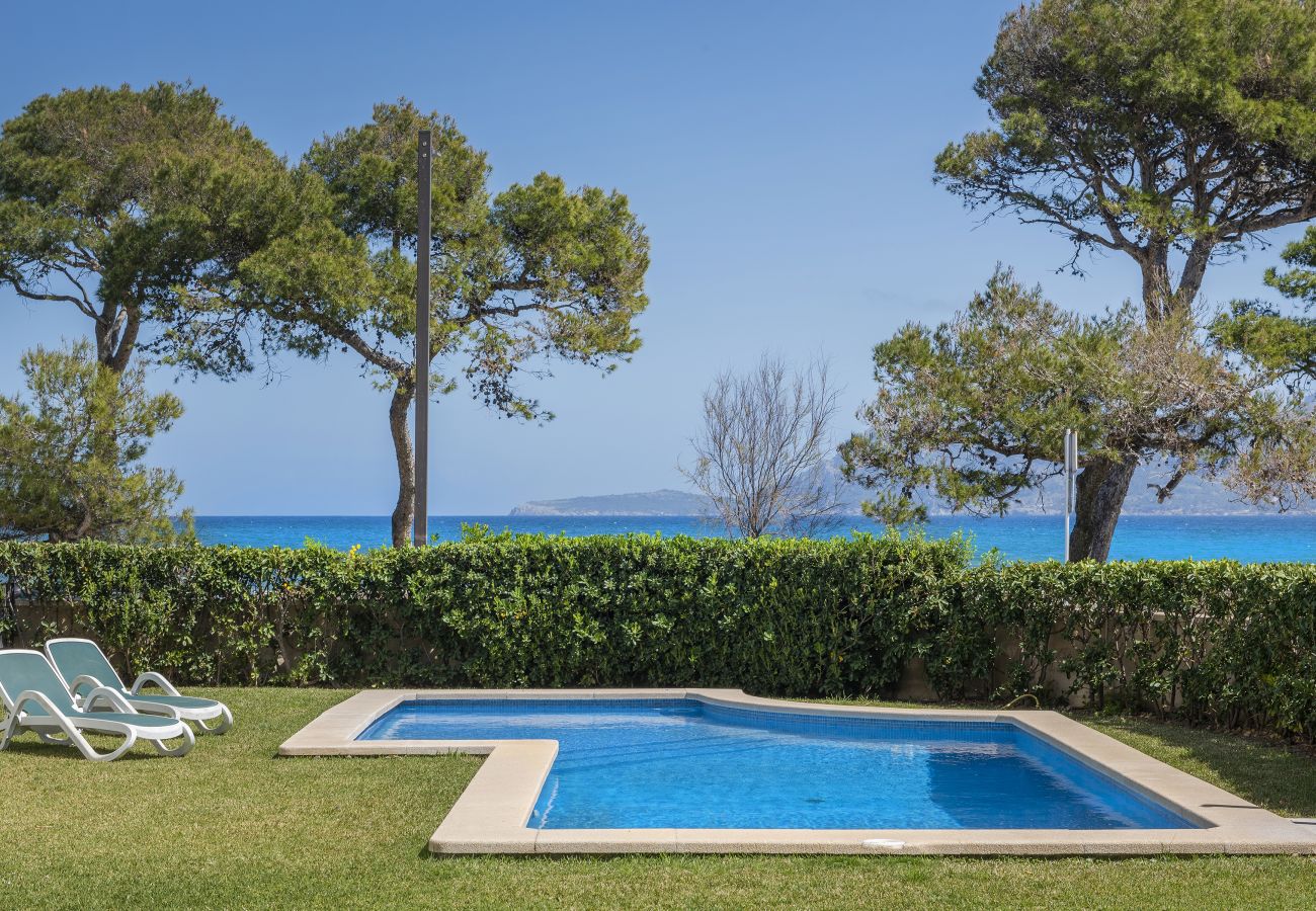 Apartment in Puerto Pollensa - Apartamento Oratge 2