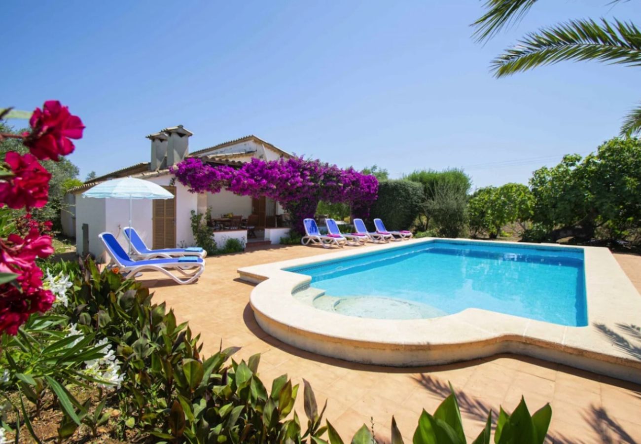 Villa in Pollensa - Villa Can Torreta